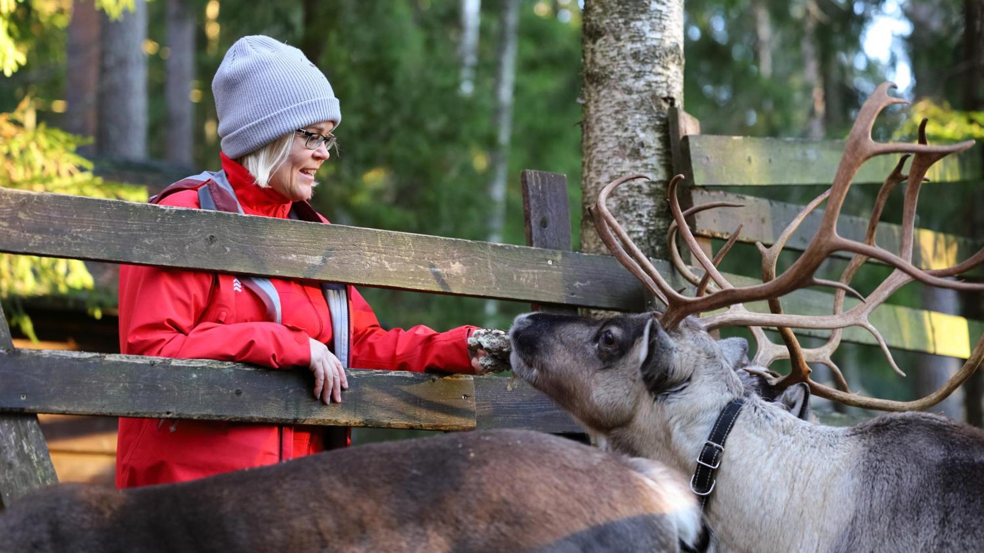 Haltia Lake Lodge Nature Boutique Hotel & Glamping Esbo Exteriör bild