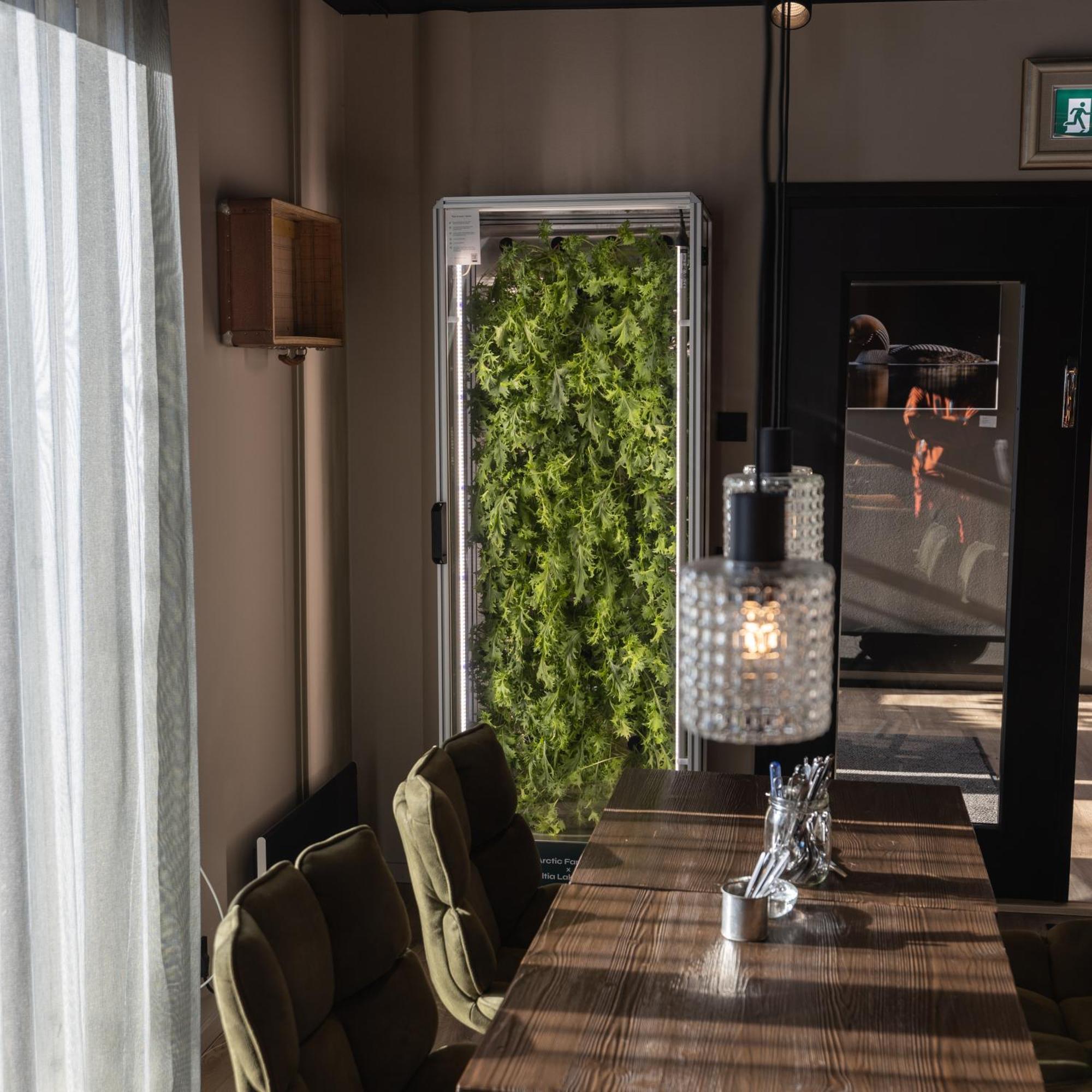 Haltia Lake Lodge Nature Boutique Hotel & Glamping Esbo Exteriör bild